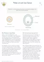 Vorschau - Unterrichtsreihen - Blüten, Bestäubung & Befruchtung – Gesamtpaket Biologie | Pollen, Samen & Fruchtbildung - Seite 2