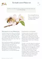 Vorschau - Unterrichtsreihen - Blüten, Bestäubung & Befruchtung – Gesamtpaket Biologie | Pollen, Samen & Fruchtbildung - Seite 3