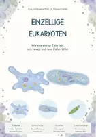 Vorschau - Unterrichtsreihen - Einzellige Eukaryoten – Gesamtpaket Biologie | Amöbe, Pantoffeltierchen & Euglena - Deckblatt