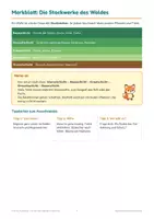 Vorschau - Arbeitsblätter - Stockwerke des Waldes Klasse 3 und 4 – Pflanzen und Tiere im Lebensraum Wald: differenziert mit Lösungen - Seite 3