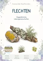 Vorschau - Stundenentwürfe - Flechten und Lebensgemeinschaften – Gesamtpaket Biologie | Symbiose, Wuchsformen & Bioindikation - Deckblatt