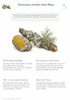 Vorschau - Stundenentwürfe - Flechten und Lebensgemeinschaften – Gesamtpaket Biologie | Symbiose, Wuchsformen & Bioindikation - Seite 1
