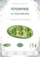 Vorschau - Unterrichtsreihen - Fotosynthese auf molekularer Ebene – Gesamtpaket Biologie | Lichtreaktion, Calvinzyklus, C3, C4 & CAM - Deckblatt