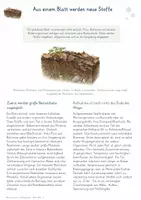 Vorschau - Unterrichtsreihen - Mikroorganismen in Stoffkreisläufen – Gesamtpaket Biologie | Kohlenstoff, Stickstoff & Zersetzung - Seite 1