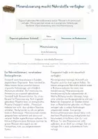 Vorschau - Unterrichtsreihen - Mikroorganismen in Stoffkreisläufen – Gesamtpaket Biologie | Kohlenstoff, Stickstoff & Zersetzung - Seite 2