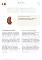 Vorschau - Unterrichtsreihen - Keimung, Wachstum & Pflanzenentwicklung – Gesamtpaket Biologie | Samen, Keimbedingungen & Entwicklung - Seite 1