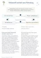Vorschau - Unterrichtsreihen - Mikroorganismen in Stoffkreisläufen – Gesamtpaket Biologie | Kohlenstoff, Stickstoff & Zersetzung - Seite 3