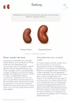 Vorschau - Unterrichtsreihen - Keimung, Wachstum & Pflanzenentwicklung – Gesamtpaket Biologie | Samen, Keimbedingungen & Entwicklung - Seite 2