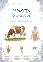 Vorschau - Stundenentwürfe - Pilze, Mikrobiom & Lebensgemeinschaften – Biologie-Bundle zu Flechten, Hefen und Stoffkreisläufen - Seite 1