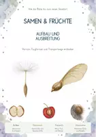Vorschau - Unterrichtsreihen - Samen, Früchte & Ausbreitung – Gesamtpaket Biologie | Samenbau, Fruchttypen & Ausbreitungswege - Deckblatt
