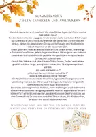 Vorschau - Fördermaterial/Inklusion - Herbstliche Klammerkarten | Zahlen & Mengen zuordnen Kita - Seite 2