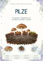 Vorschau - Unterrichtsreihen - Pilze – Gesamtpaket Biologie | Aufbau, Ernährung, Vermehrung, Mykorrhiza & Zersetzung - Deckblatt