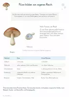 Vorschau - Unterrichtsreihen - Pilze – Gesamtpaket Biologie | Aufbau, Ernährung, Vermehrung, Mykorrhiza & Zersetzung - Seite 1