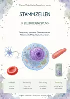 Vorschau - Unterrichtsreihen - Stammzellen & Zelldifferenzierung – Gesamtpaket Biologie | Zelltypen, Potenz, iPS-Zellen & Regeneration - Deckblatt