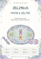 Vorschau - Unterrichtsreihen - Zellbiologie im Fokus – MEGA-Bundle mit 10 kompletten Biologie-Unterrichtseinheiten | Zellen, Genetik, Biomembranen, Enzyme, Zellatmung, Mitose & mehr - Seite 1