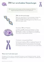 Vorschau - Unterrichtsreihen - Zellbiologie im Fokus – MEGA-Bundle mit 10 kompletten Biologie-Unterrichtseinheiten | Zellen, Genetik, Biomembranen, Enzyme, Zellatmung, Mitose & mehr - Seite 2