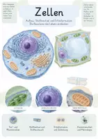 Vorschau - Unterrichtsreihen - Zellen – Gesamtpaket Biologie | Zellaufbau, Stoffaustausch, Stoffwechsel & Erbinformation - Deckblatt