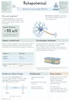 Vorschau - Unterrichtsreihen - Nervenzelle – Gesamtpaket Biologie | Aktionspotential, Erregungsleitung & Synapse - Seite 3