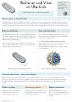 Vorschau - Unterrichtsreihen - Bakterien & Viren – Gesamtpaket Biologie | Aufbau, Vermehrung, Infektionen & Immunabwehr - Seite 1