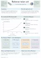 Vorschau - Unterrichtsreihen - Bakterien & Viren – Gesamtpaket Biologie | Aufbau, Vermehrung, Infektionen & Immunabwehr - Seite 3
