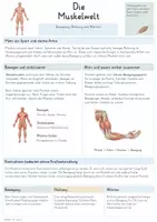 Vorschau - Unterrichtsreihen - Muskeln – Gesamtpaket Biologie | Muskelaufbau, Kontraktion, Gegenspieler & Training - Seite 1