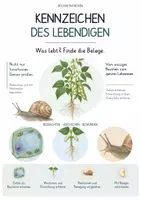 Vorschau - Unterrichtsreihen - Kennzeichen des Lebendigen – Gesamtpaket Biologie | Zellen, Stoffwechsel, Wachstum & Fortpflanzung - Deckblatt