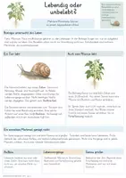 Vorschau - Unterrichtsreihen - Kennzeichen des Lebendigen – Gesamtpaket Biologie | Zellen, Stoffwechsel, Wachstum & Fortpflanzung - Seite 1