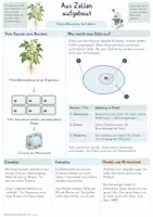 Vorschau - Unterrichtsreihen - Kennzeichen des Lebendigen – Gesamtpaket Biologie | Zellen, Stoffwechsel, Wachstum & Fortpflanzung - Seite 2