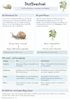 Vorschau - Unterrichtsreihen - Kennzeichen des Lebendigen – Gesamtpaket Biologie | Zellen, Stoffwechsel, Wachstum & Fortpflanzung - Seite 3