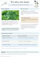 Vorschau - Unterrichtsreihen - Beobachten, Zeichnen & Dokumentieren – Gesamtpaket Biologie | Befunde, Skizzen, Tabellen & Protokolle - Seite 1
