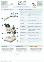 Vorschau - Unterrichtsreihen - Beobachten, Zeichnen & Dokumentieren – Gesamtpaket Biologie | Befunde, Skizzen, Tabellen & Protokolle - Seite 3