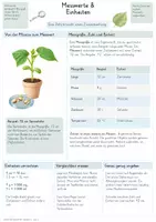 Vorschau - Unterrichtsreihen - Biologische Daten & Diagramme – Gesamtpaket Biologie | Messwerte, Mittelwerte, Kurven & Datenauswertung - Seite 1