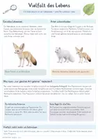 Vorschau - Unterrichtsreihen - Arten bestimmen & Lebewesen ordnen – Gesamtpaket Biologie | Bestimmungsschlüssel, Taxonomie & Verwandtschaft - Seite 1