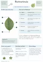 Vorschau - Unterrichtsreihen - Arten bestimmen & Lebewesen ordnen – Gesamtpaket Biologie | Bestimmungsschlüssel, Taxonomie & Verwandtschaft - Seite 2