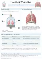 Vorschau - Unterrichtsreihen - Biologie entdecken & erforschen – Materialpaket Methodenkompetenz | 6 komplette Einheiten zu Beobachten, Forschen, Mikroskopieren & Bestimmen - Seite 2