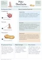 Vorschau - Unterrichtsreihen - Modelle & Basiskonzepte der Biologie – Gesamtpaket | Struktur, Funktion, Stoffe, Energie & Regelung - Seite 3