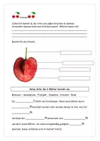 Vorschau - Arbeitsblätter - Von der Blüte zur Kirsche - inklusive Lösung - Seite 1