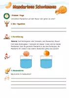 Vorschau - Arbeitsblätter - Experiment im Advent - Mandarinen Schwimmen (Klasse 1-2) - Deckblatt