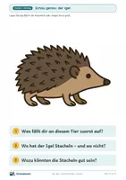 Vorschau - Stundenentwürfe - Der Igel · Klasse 2 · Unterrichtsreihe Sachunterricht - Seite 3