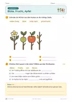 Vorschau - Unterrichtsreihen - Der Apfel – Klasse 2 – Übungsheft – Apfelernte im Herbst - Seite 2