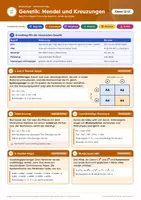 Vorschau - Arbeitsblätter - Genetik Spickzettel Abitur Biologie - Seite 1