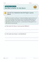 Vorschau - Unterrichtsreihen - Blätter und Früchte im Herbst · Klasse 2 · Übungspack · luftige Fassung (mehr Platz zum Schreiben) - Seite 2