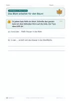 Vorschau - Unterrichtsreihen - Blätter und Früchte im Herbst · Klasse 2 · Übungspack · luftige Fassung (mehr Platz zum Schreiben) - Seite 3