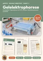 Vorschau - Stundenentwürfe - Gelelektrophorese, genetischer Fingerabdruck – Genetik - Deckblatt