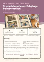 Vorschau - Stundenentwürfe - Genetik Oberstufe Paket 3: Humangenetik - Seite 2
