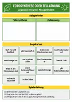 Vorschau - Arbeitsblätter - Fotosynthese & Zellatmung – 3 Lernspiele Biologie Klasse 7-8 - Seite 2