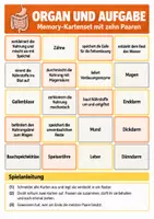 Vorschau - Arbeitsblätter - Verdauung & Nährstoffe – 3 Lernspiele Biologie Klasse 7–8 - Seite 1