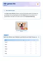 Vorschau - Arbeitsblätter - Auslautverhärtung | Lernwerkstatt + Lernzielkontrolle | b oder p, d oder t, g oder k | Deutsch Klasse 3/4 | mit Lösungen - Seite 3