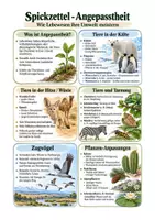 Vorschau - Arbeitsblätter - Biologie Klasse 5–10 – 15 Materialien: Körper, Tiere, Pflanzen, Zellen, Genetik und Ökologie - Deckblatt