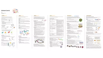 Vorschau - Merkblätter - BIO Molekulare Genetik Fit für die Prüfung! - Deckblatt